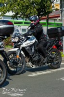 phoca thumb l  dsc3001