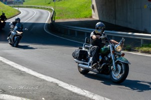 phoca thumb l  dsc3023