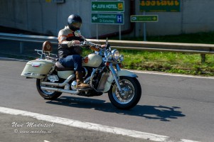 phoca thumb l  dsc3029