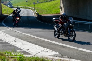 phoca thumb l  dsc3044