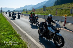 phoca thumb l  dsc3071