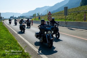 phoca thumb l  dsc3073