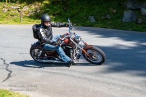 phoca thumb l  dsc3140