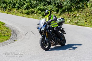 phoca thumb l  dsc3173