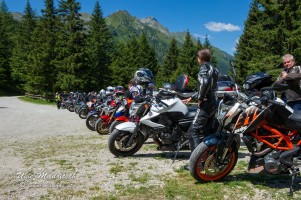 phoca thumb l  dsc3211