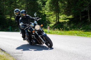 phoca thumb l  dsc3249