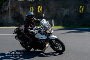 phoca thumb l  dsc3289