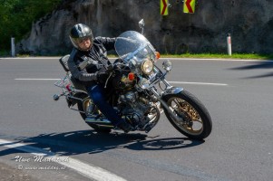 phoca thumb l  dsc3291