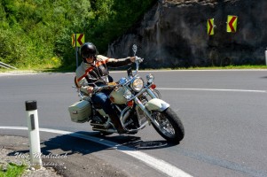 phoca thumb l  dsc3296