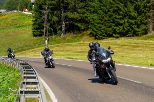 phoca thumb l  dsc3347