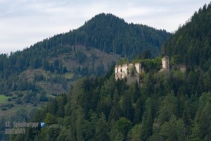 850 verbessert rr
